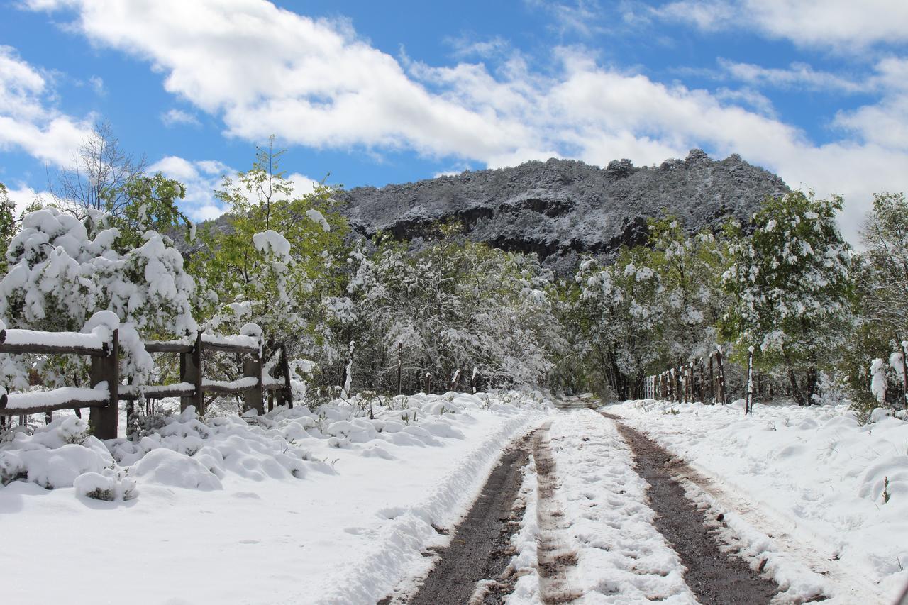 Chalet Refugio Altazor Las Trancas