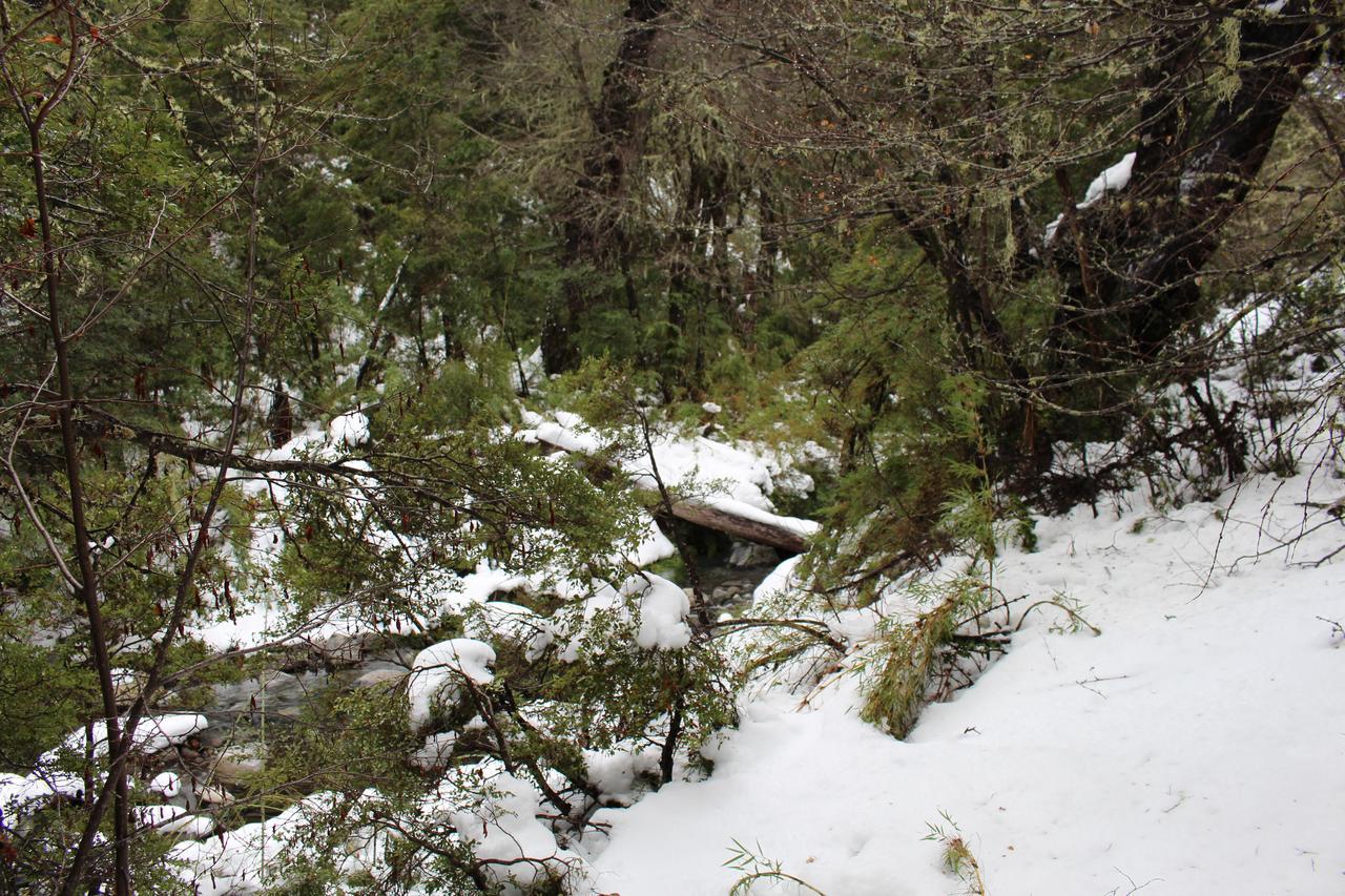 Refugio Altazor Las Trancas
