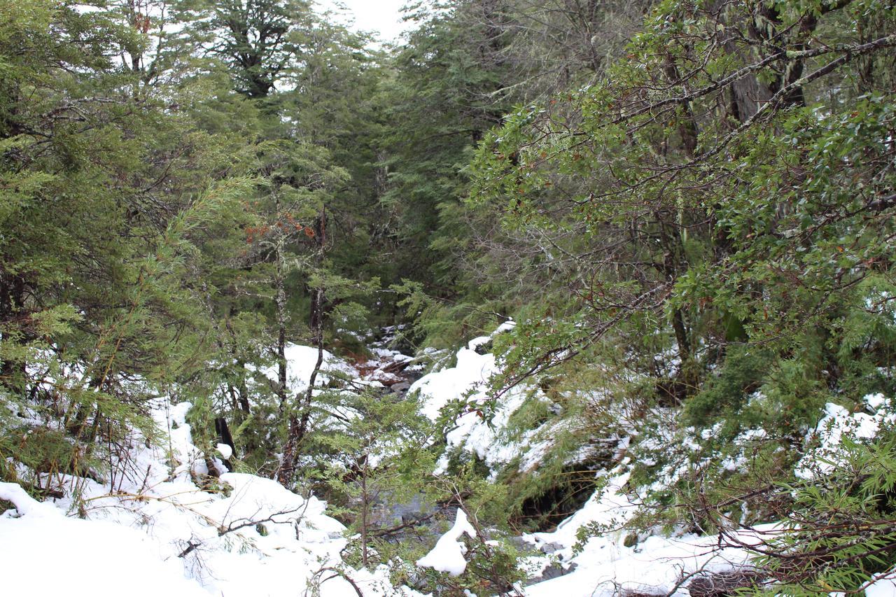 Refugio Altazor Valle Las Trancas